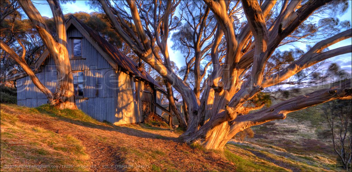 Peter Bellingham Photography Cope Hut - VIC T (PBH3 00 34387)
